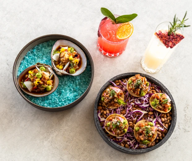 surfaces food & drinks – grand velas boutique Los cabos