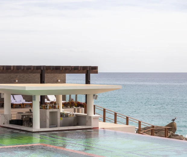 surfaces food & drinks – grand velas boutique Los cabos